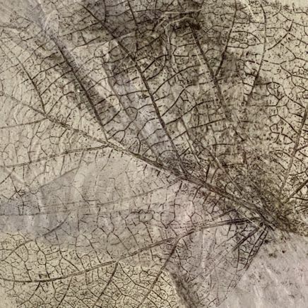 La cinqui&egrave;me saison