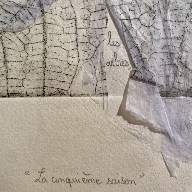 La cinqui&egrave;me saison