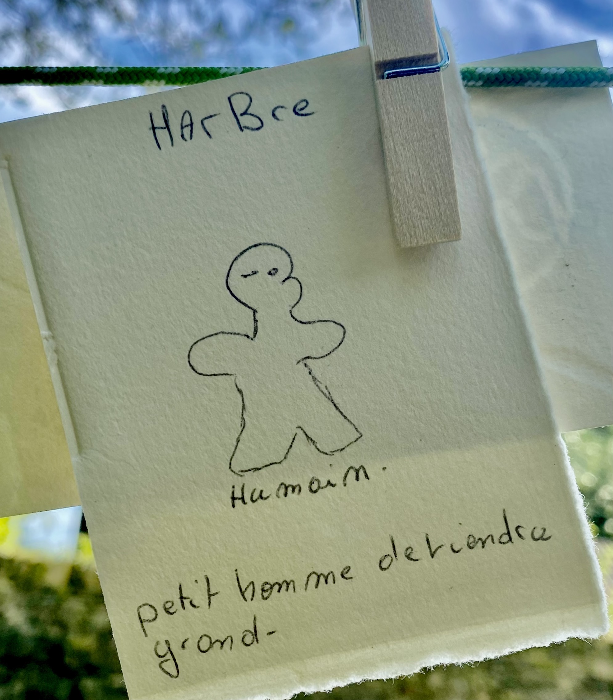 C9FC0285-B00C-4DB8-BEE5-2A4127B56621_1_201_a